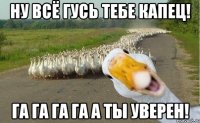 Ну всё гусь тебе капец! Га га га га А ты уверен!