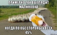 Примерно так выглядит Малиновка когда по обе стороны у всех 45%