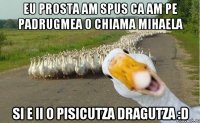 eu prosta am spus ca am pe padrugmea o chiama mihaela si e ii o pisicutza dragutza :D