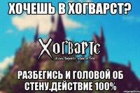 Хочешь в Хогварст? Разбегись и головой об стену.Действие 100%