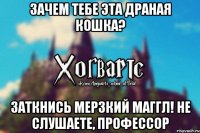 Зачем тебе эта драная кошка? Заткнись мерзкий маггл! Не слушаете, профессор