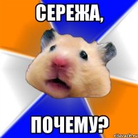 СЕРЕЖА, ПОЧЕМУ?