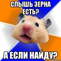 СЛЫШЬ ЗЕРНА ЕСТЬ? А ЕСЛИ НАЙДУ?