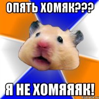 Опять хомяк??? Я не ХОМЯЯЯК!