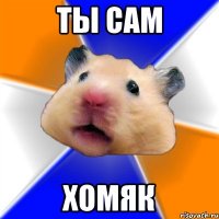 ТЫ САМ ХОМЯК