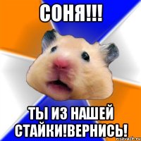 СОНЯ!!! Ты из нашей стайки!Вернись!