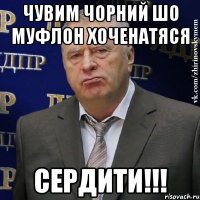 ЧУВИМ ЧОРНИЙ ШО МУФЛОН ХОЧЕНАТЯСЯ СЕРДИТИ!!!