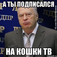 А ты подписался на Кошки ТВ