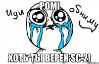 Pomi Хоть ты верен SC 2!