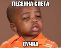 песенка спета сучка