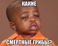 какие смертные грибы?