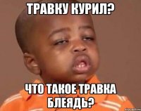 Травку курил? Что такое травка блеядЬ?