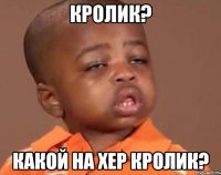 Кролик? Какой на хер кролик?