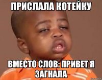 Прислала котейку Вместо слов: привет я загнала
