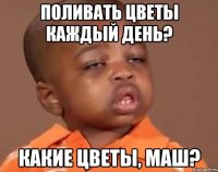 Поливать цветы каждый день? Какие цветы, Маш?