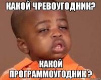 Какой чревоугодник? Какой программоугодник ?