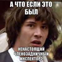 А что если это был Ненастоящий членозадничный инспектор?