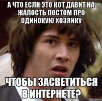 А что если это кот давит на жалость постом про одинокую хозяйку чтобы засветиться в интернете?