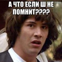 а что если Ш не помнит???? 