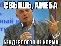Свышь, амеба Бендерлогов не корми