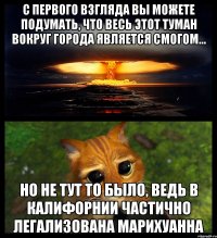 С первого взгляда вы можете подумать, что весь этот туман вокруг города является смогом... Но не тут то было, ведь в Калифорнии частично легализована марихуанна