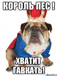 Король Пес ! Хватит гавкать!