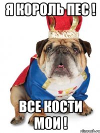 Я король Пес ! Все кости мои !