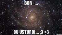 BORȘ... cu usturoi.... :3 <3