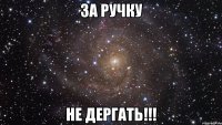 За ручку НЕ дергать!!!