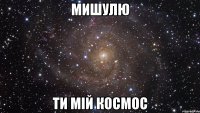 Мишулю Ти мій космос