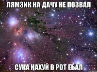 лямзик на дачу не позвал сука нахуй в рот ебал