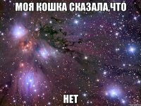Моя кошка сказала,что НЕТ