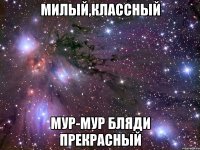 Милый,классный Мур-Мур Бляди прекрасный