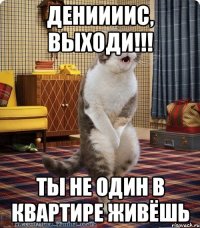 Дениииис, выходи!!! ты не один в квартире живёшь