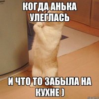 Когда Анька улеглась и что то забыла на кухне )