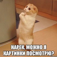  НАРЕК, МОЖНО Я КАРТИНКИ ПОСМОТРЮ?