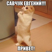 САВЧУК ЕВГЕНИЙ!!! ПРИВЕТ!