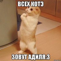 всех котэ зовут Адиля:3