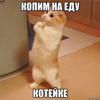 Копим на еду котейке