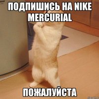 Подпишись на Nike Mercurial Пожалуйста