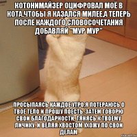 Котонимайзер оцифровал моё в кота,чтобы я казался милее,а теперь после каждого словосочетания добавляй "Мур Мур" Просыпаясь каждое утро,я потераюсь о твоё тело и прошу поесть. Затем говорю свои благодарности, тянясь к твоему личику. И веляя хвостом ухожу по свои делам