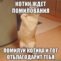 Котик ждет помилования помилуй Котика и тот отблагодарит тебя