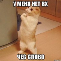 у меня нет вх чес слово