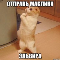 отправь маслину Эльвира