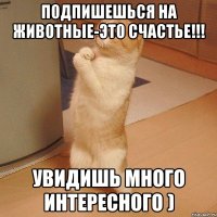 Подпишешься на животные-это счастье!!! Увидишь много интересного )