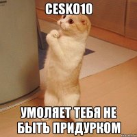 cesko10 умоляет тебя не быть придурком