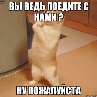 Вы ведь поедите с нами ? НУ ПОЖАЛУЙСТА