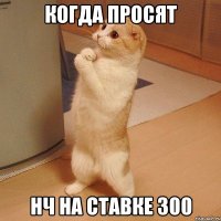 Когда просят нч на ставке 300