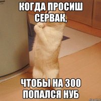 Когда просиш сервак, чтобы на 300 попался нуб