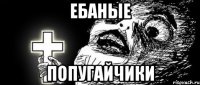 ебаные попугайчики